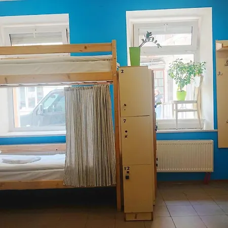 Antihostel Forrest