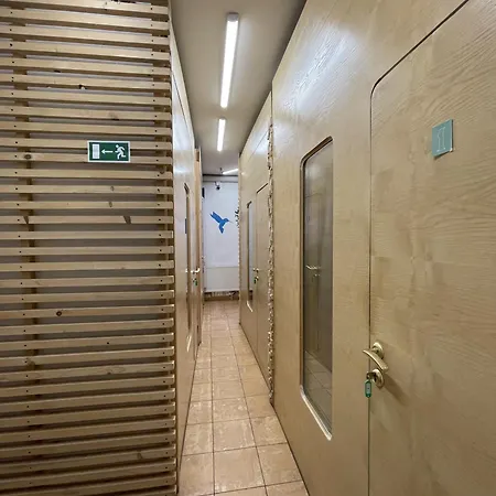 Hostel Antihostel Forrest Lviv