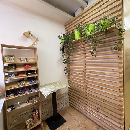 Hostel Antihostel Forrest Lviv