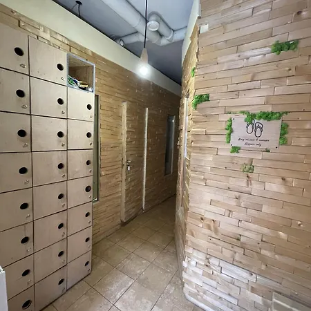 Antihostel Forrest * إلفيف