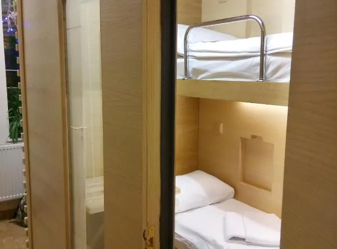 Antihostel Forrest אכסניה