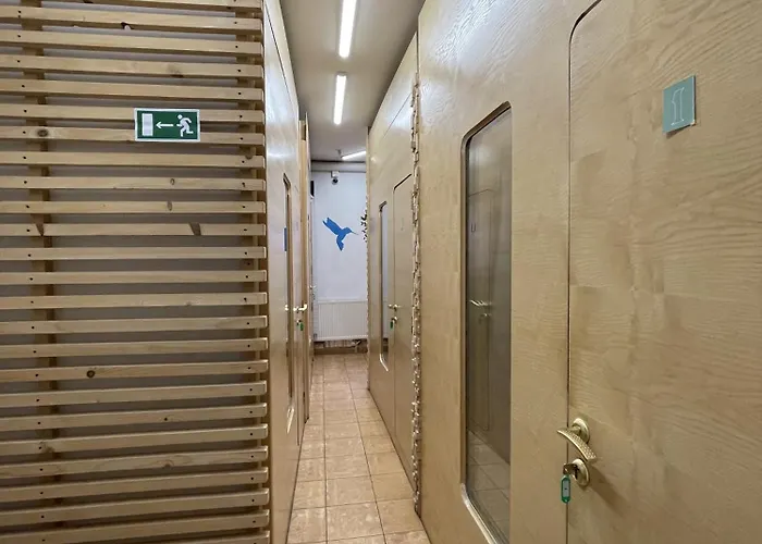 Hostel Antihostel Forrest Lwów