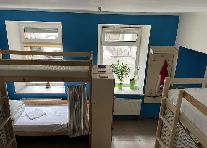 Antihostel Forrest Lviv